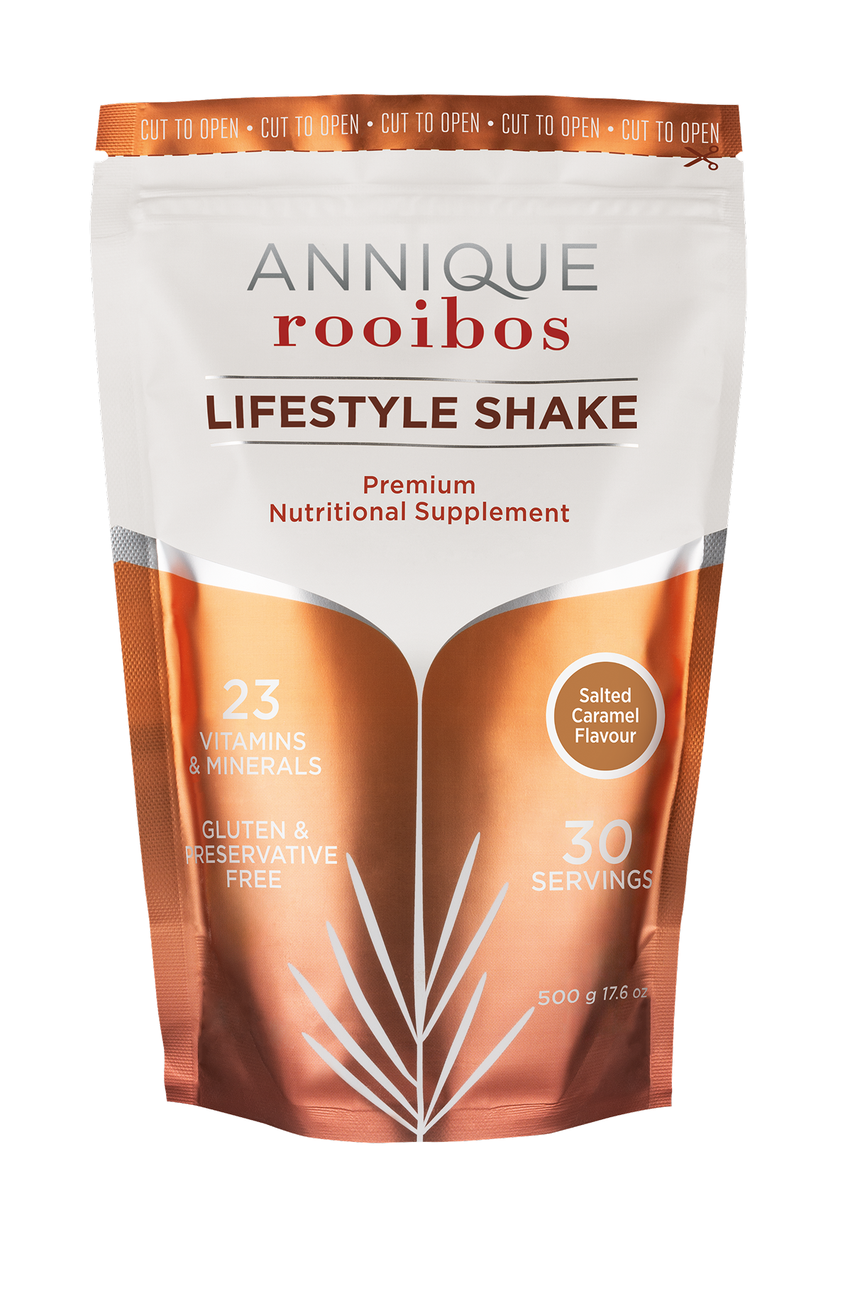 Lifestyle Shake Salted Caramel 500g LSLSS24001