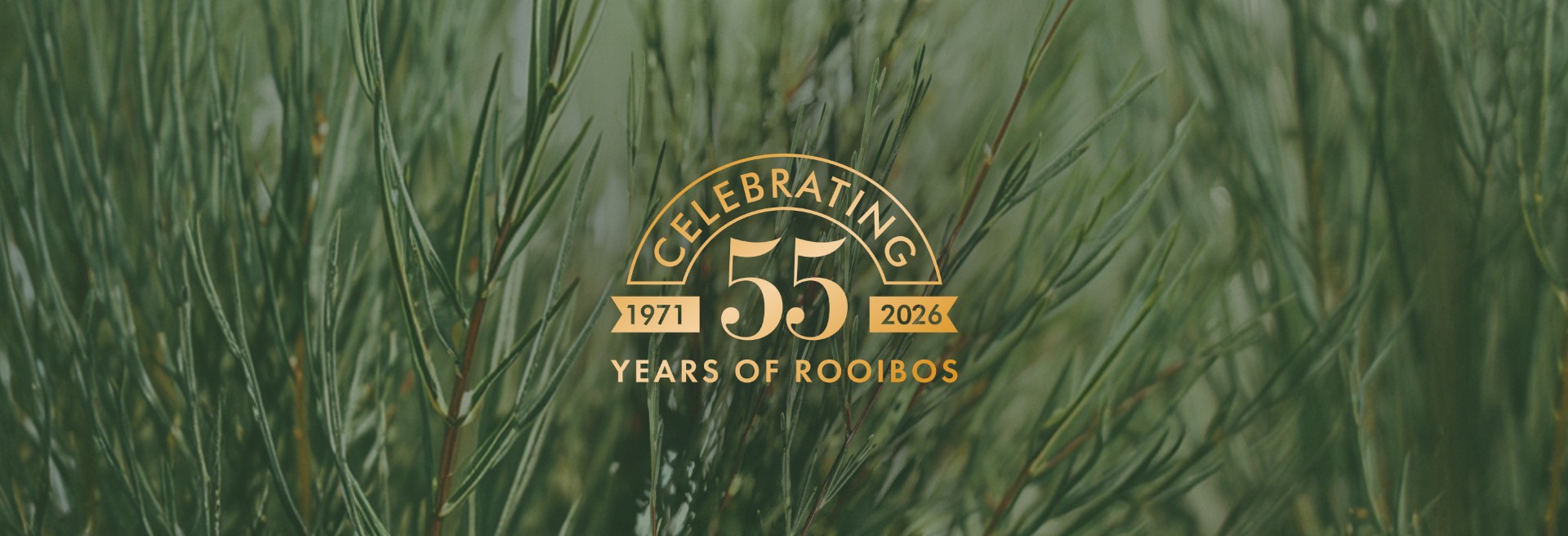 Unbeatable value on DrCarien.co.za